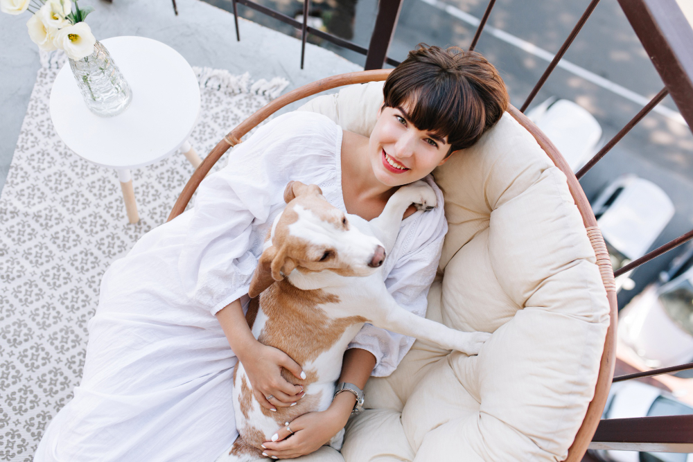 Pet-Friendly Staycations
